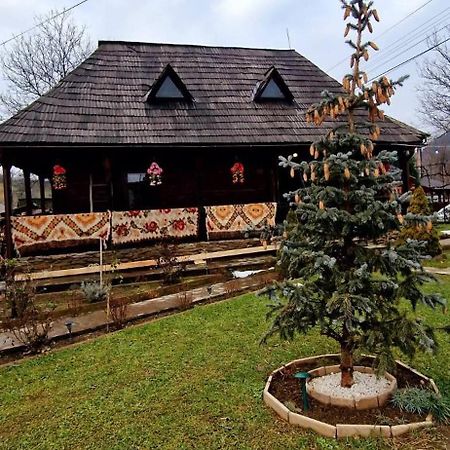 Hotel Vlad De Saliste Salistea de Sus Zewnętrze zdjęcie